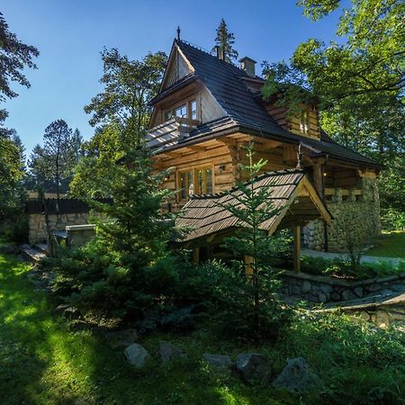 Dom Crocus Villa Zakopane Ngoại thất bức ảnh