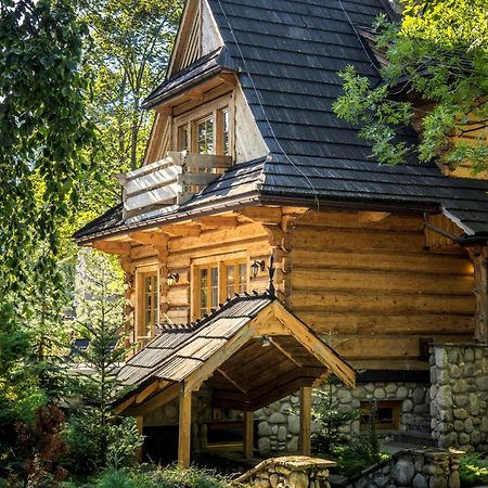 Dom Crocus Villa Zakopane Ngoại thất bức ảnh